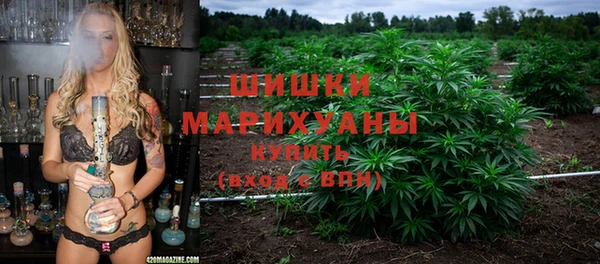 ПСИЛОЦИБИНОВЫЕ ГРИБЫ Алзамай