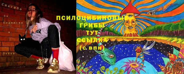 ПСИЛОЦИБИНОВЫЕ ГРИБЫ Алзамай