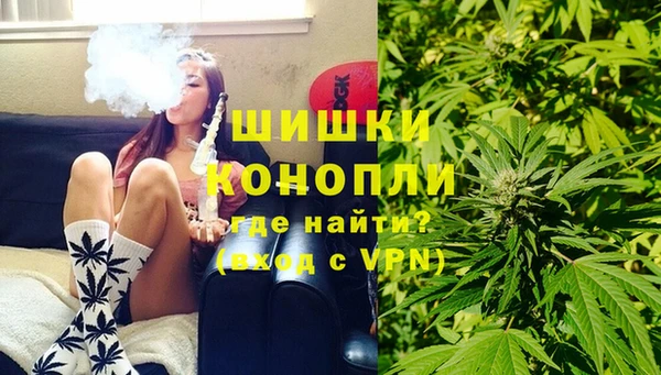 ПСИЛОЦИБИНОВЫЕ ГРИБЫ Алзамай