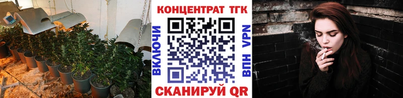 купить  сайты  Сунжа  Дистиллят ТГК гашишное масло 