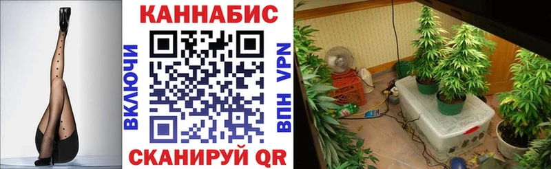 Конопля LSD WEED  Сунжа 